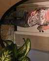 manic__sexdoll Altpins Profile Picture
