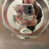 manic__sexdoll Altpins Profile Picture
