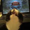 manwruu Altpins Profile Picture