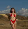 maor.d_ Altpins Profile Picture