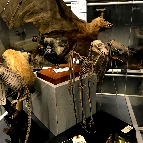 mayamorgannnnnn instagram image archive image