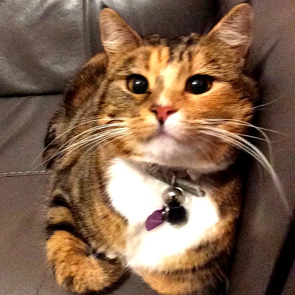mayamorgannnnnn instagram image archive image