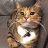 mayamorgannnnnn Altpins Profile Picture