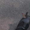 mayamorgannnnnn Altpins Profile Picture