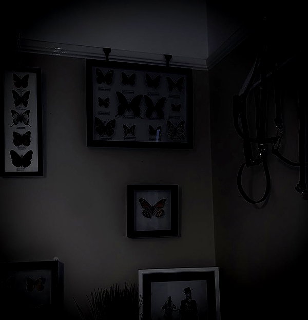 mayamorgannnnnn instagram image archive image