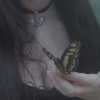 mayamorgannnnnn Altpins Profile Picture