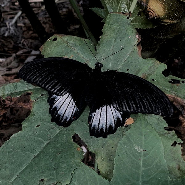 mayamorgannnnnn instagram image archive image