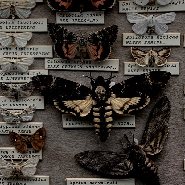 mayamorgannnnnn instagram image archive image