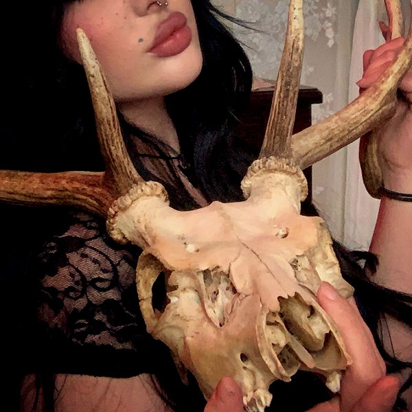 mayamorgannnnnn instagram image archive image