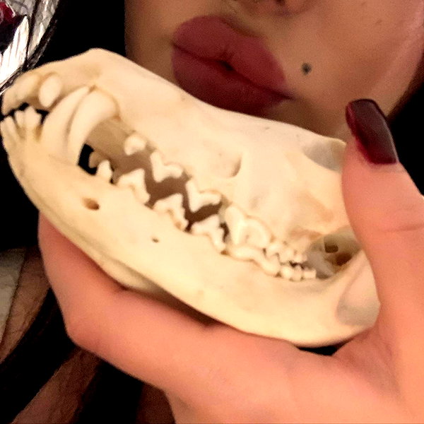 mayamorgannnnnn instagram image archive image