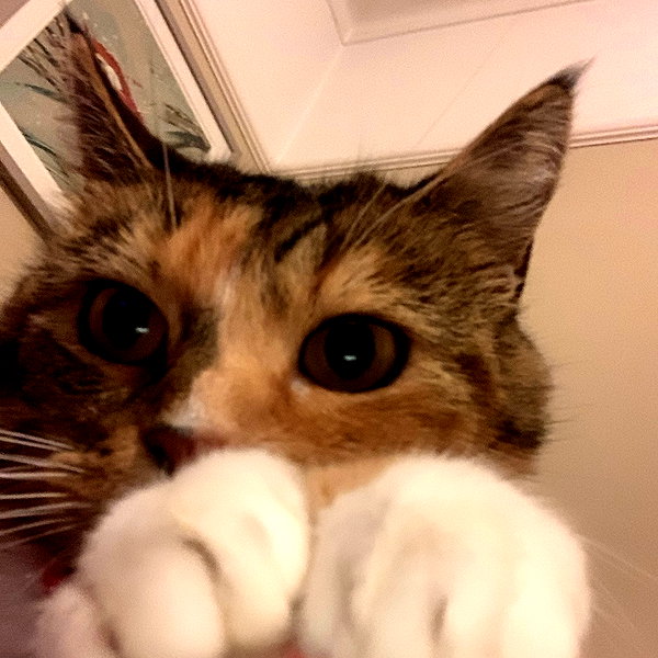 mayamorgannnnnn instagram image archive image