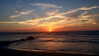 maycohen8 Altpins Profile Picture