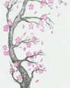 maycohen8 Altpins Profile Picture