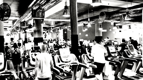 maycohen8 instagram image archive image