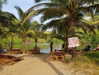 maycohen8 Altpins Profile Picture