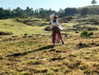 maycohen8 Altpins Profile Picture