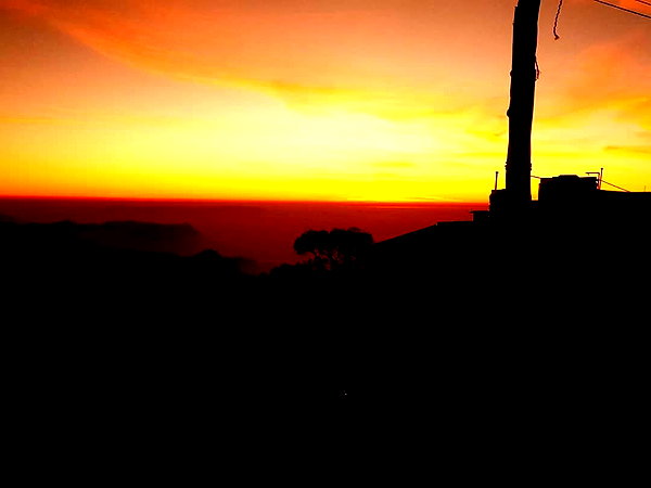 maycohen8 instagram image archive image