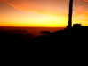 maycohen8 Altpins Profile Picture