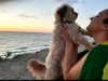 maycohen8 Altpins Profile Picture