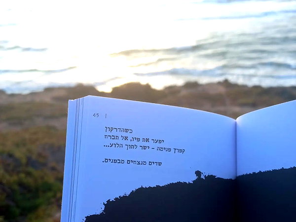 maycohen8 instagram image archive image