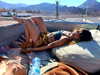 maycohen8 Altpins Profile Picture
