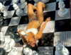 maycohen8 Altpins Profile Picture