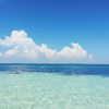 maymay_hitomi Altpins Profile Picture