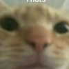 mckinleyrichardson Altpins Profile Picture