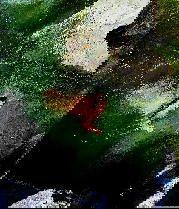 meelahrobbins image ~ Altpins