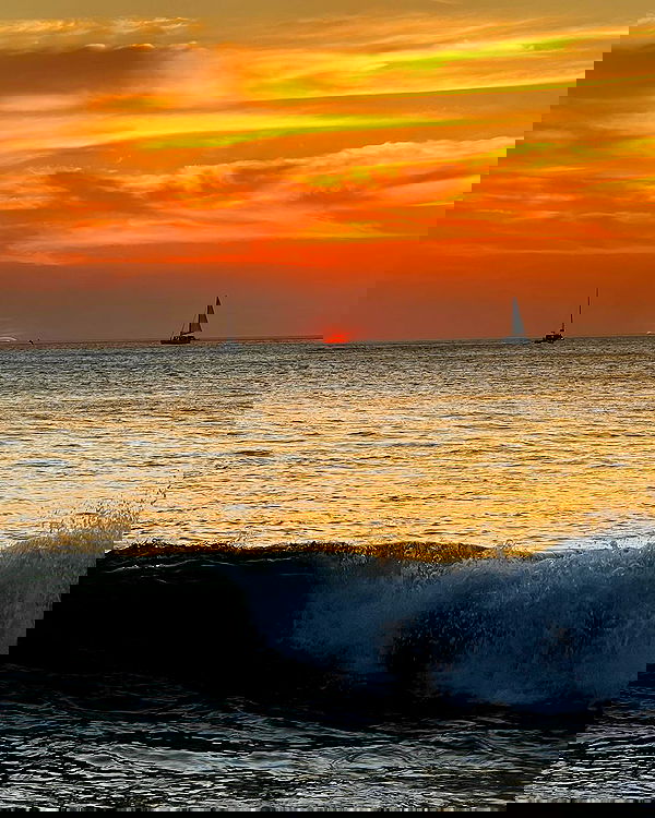 meelahrobbins image ~ Altpins