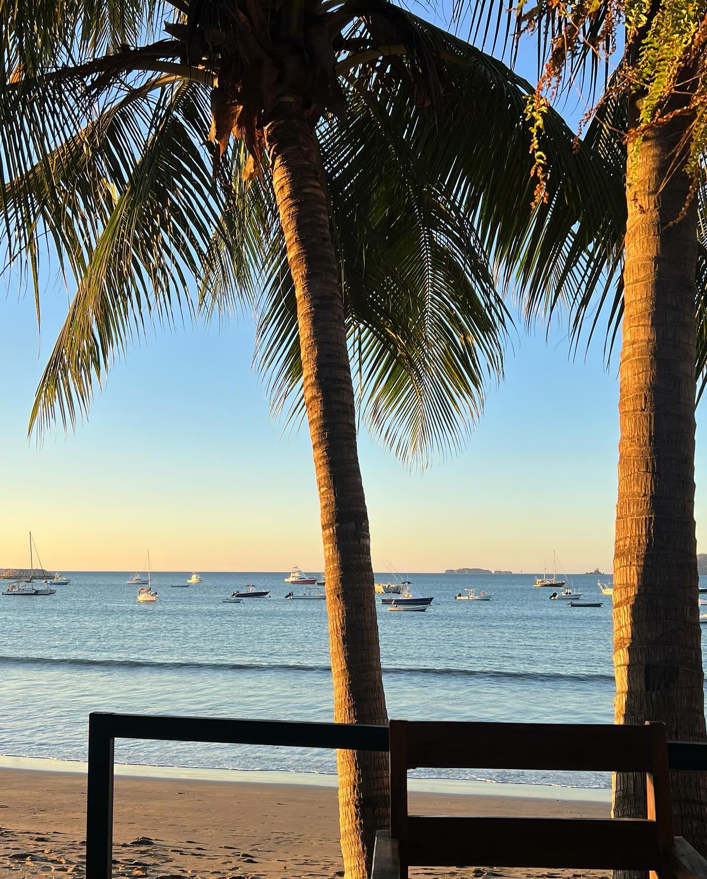 meelahrobbins instagram image archive image