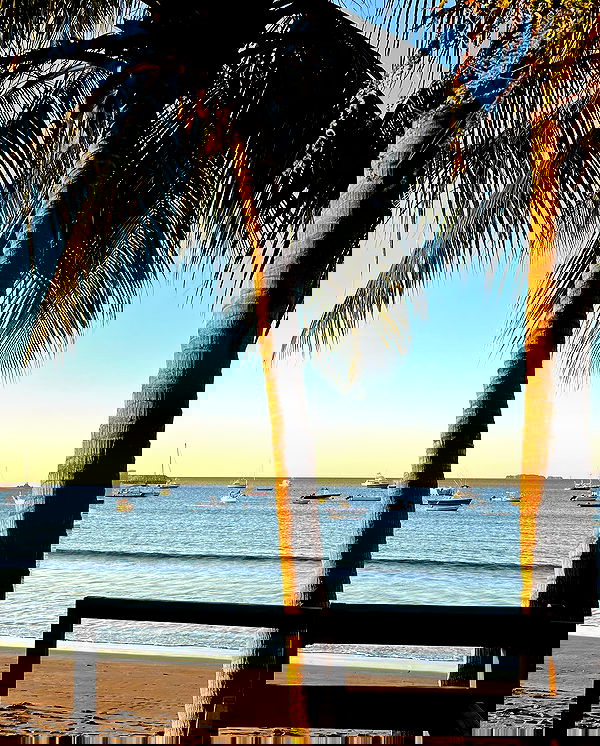 meelahrobbins image ~ Altpins