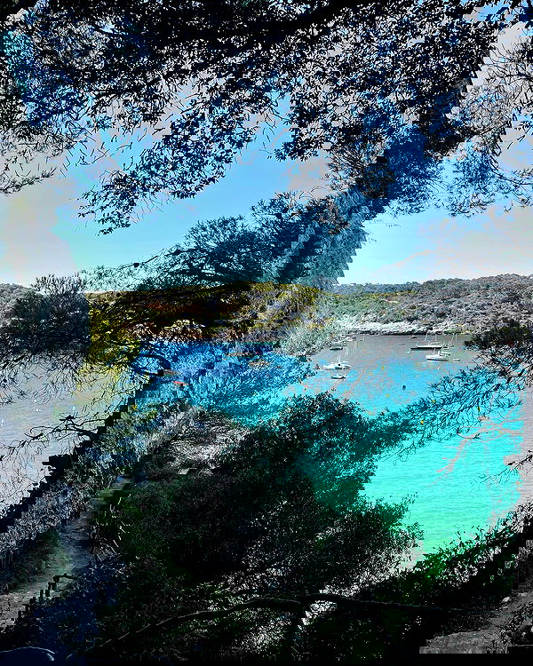 meikeae image ~ Altpins