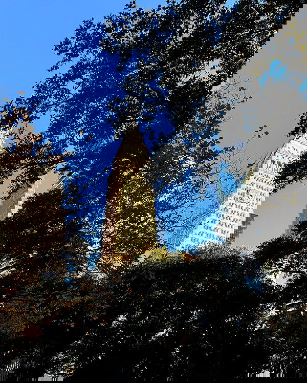 meikeae image ~ Altpins