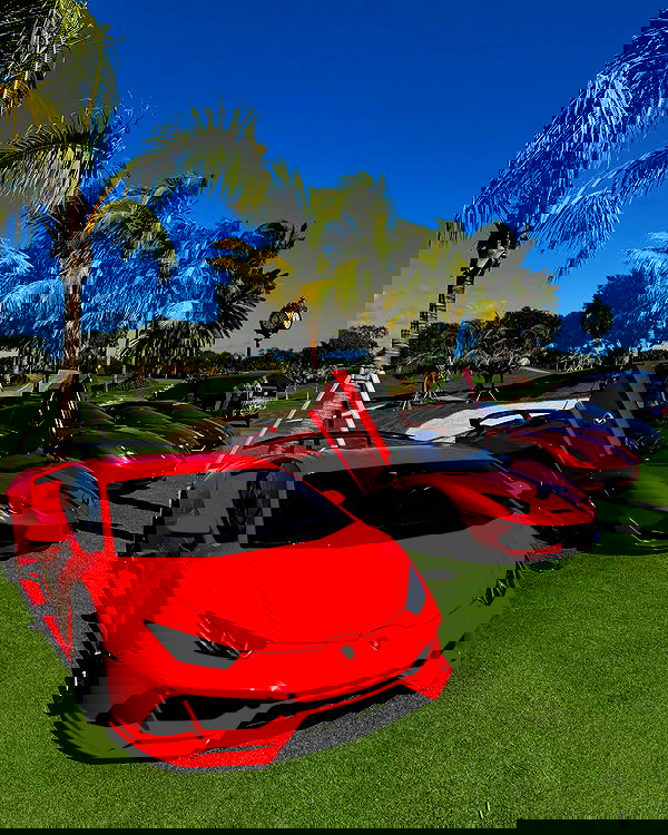 meikeae image ~ Altpins