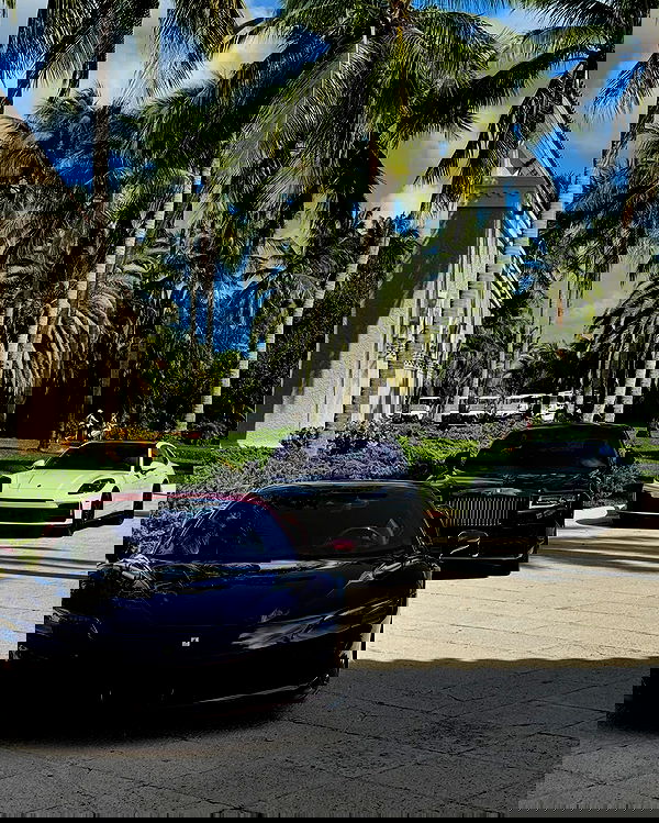 meikeae image ~ Altpins