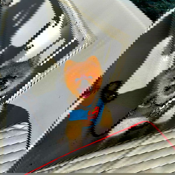 meikeae image ~ Altpins