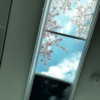 mellancholicka Altpins Profile Picture