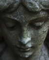 merveystar Altpins Profile Picture