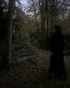 merveystar Altpins Profile Picture