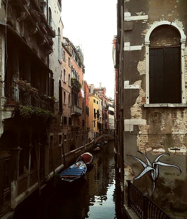 mia.ngarla instagram image archive image