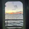 mia.ngarla Altpins Profile Picture