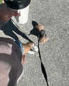 mia.ngarla Altpins Profile Picture