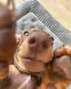 mia.ngarla Altpins Profile Picture