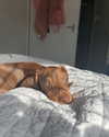 mia.ngarla Altpins Profile Picture