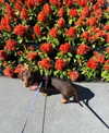 mia.ngarla Altpins Profile Picture