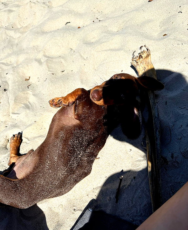 mia.ngarla instagram image archive image