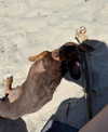 mia.ngarla Altpins Profile Picture