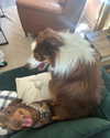 mia.ngarla Altpins Profile Picture