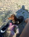 mia.ngarla Altpins Profile Picture